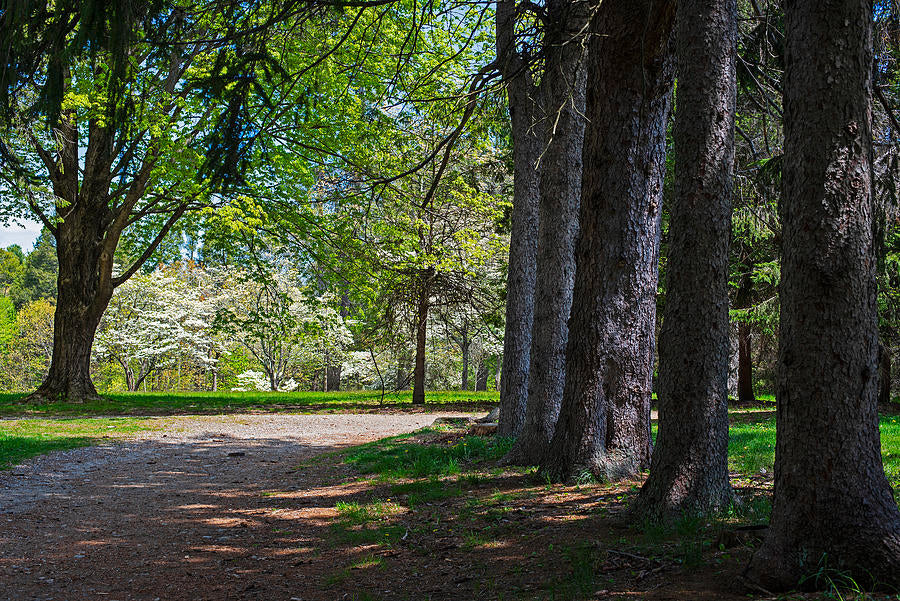 Best Hiking Trails In and Around the Merrimack Valley