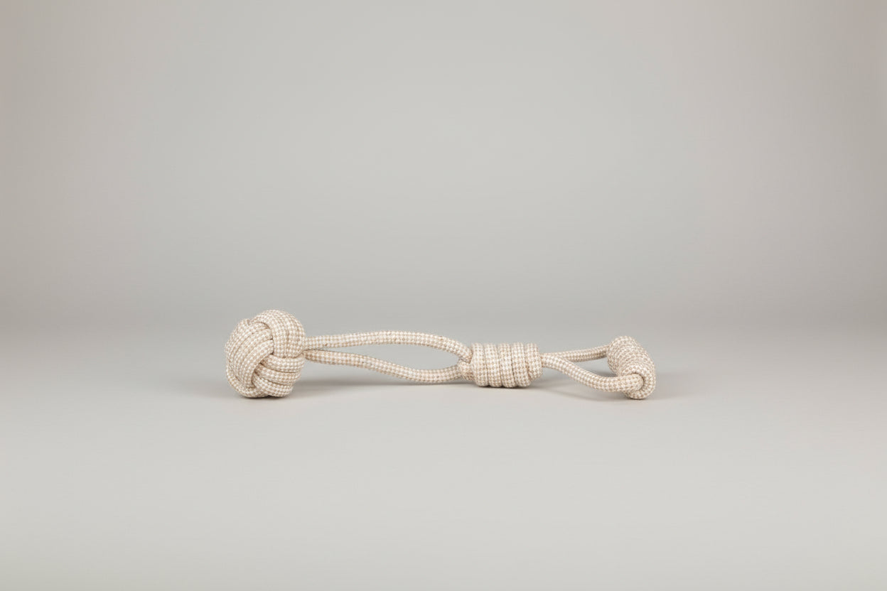 Dog toy with a rope and ball on a wooden floor