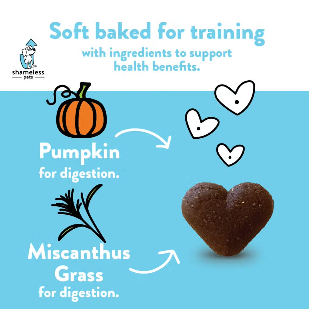 Soft Baked Dog Treats