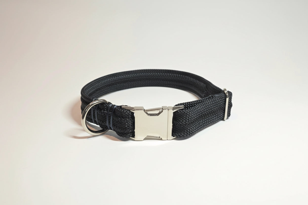 Black dog collar with a silver buckle on a light beige background
