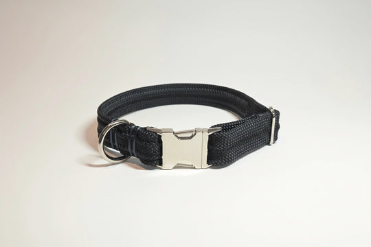 Black dog collar with a silver buckle on a light beige background